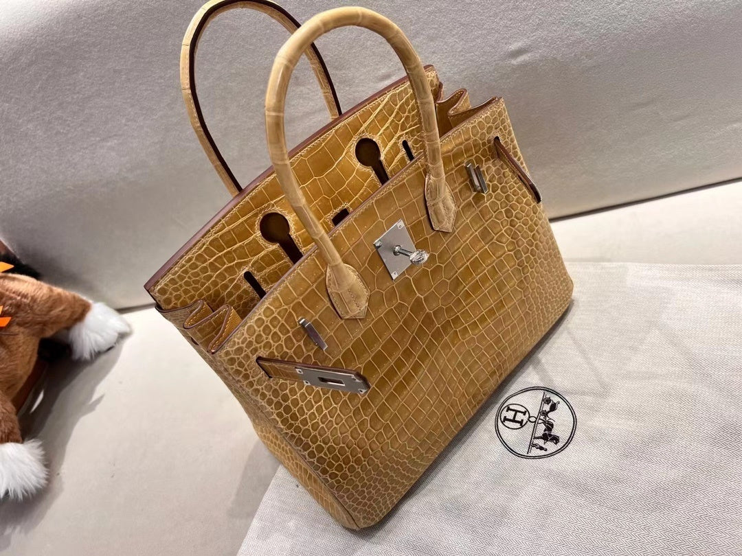 Hermès Birkin 25