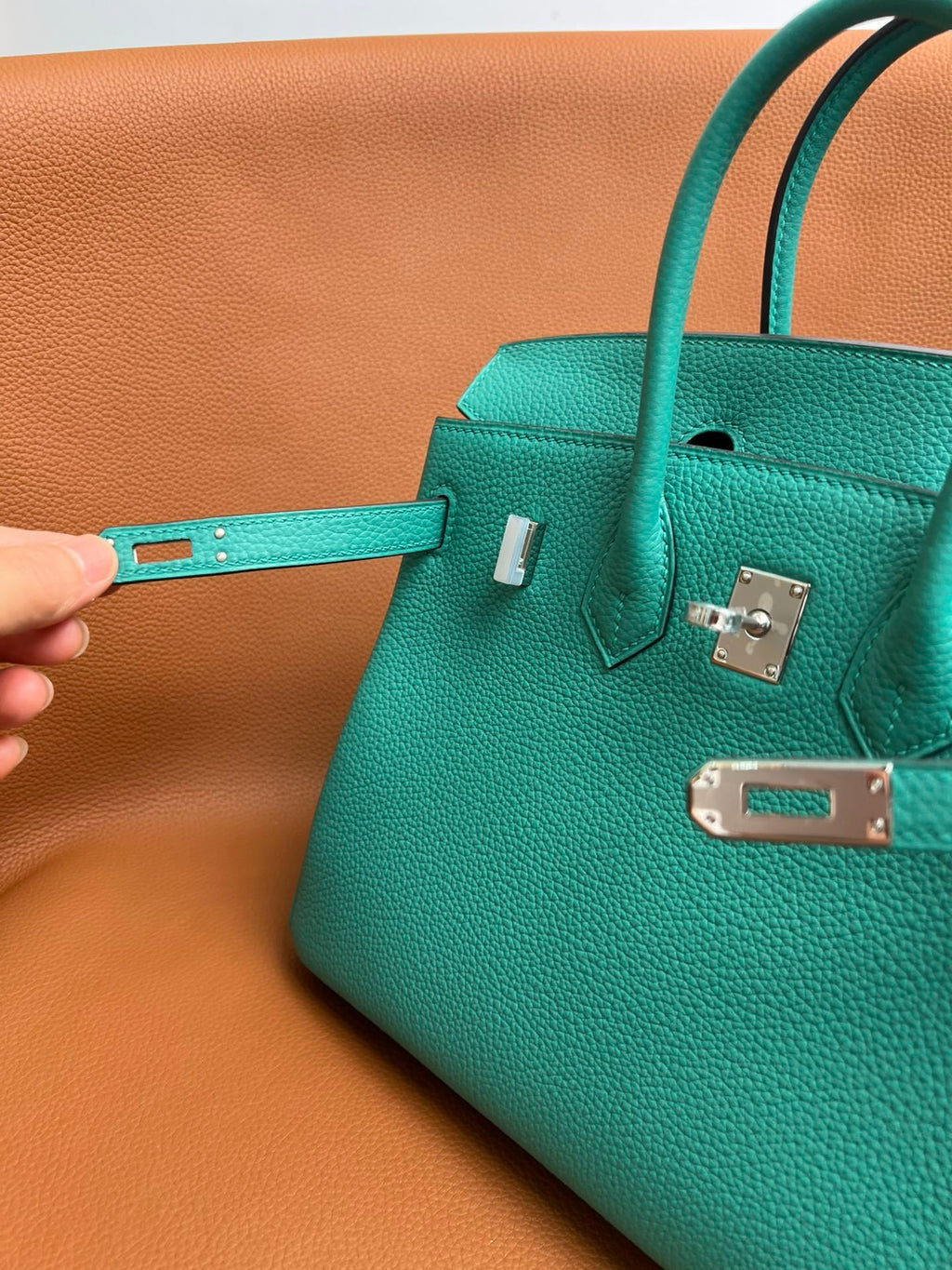 Hermès Birkin 25