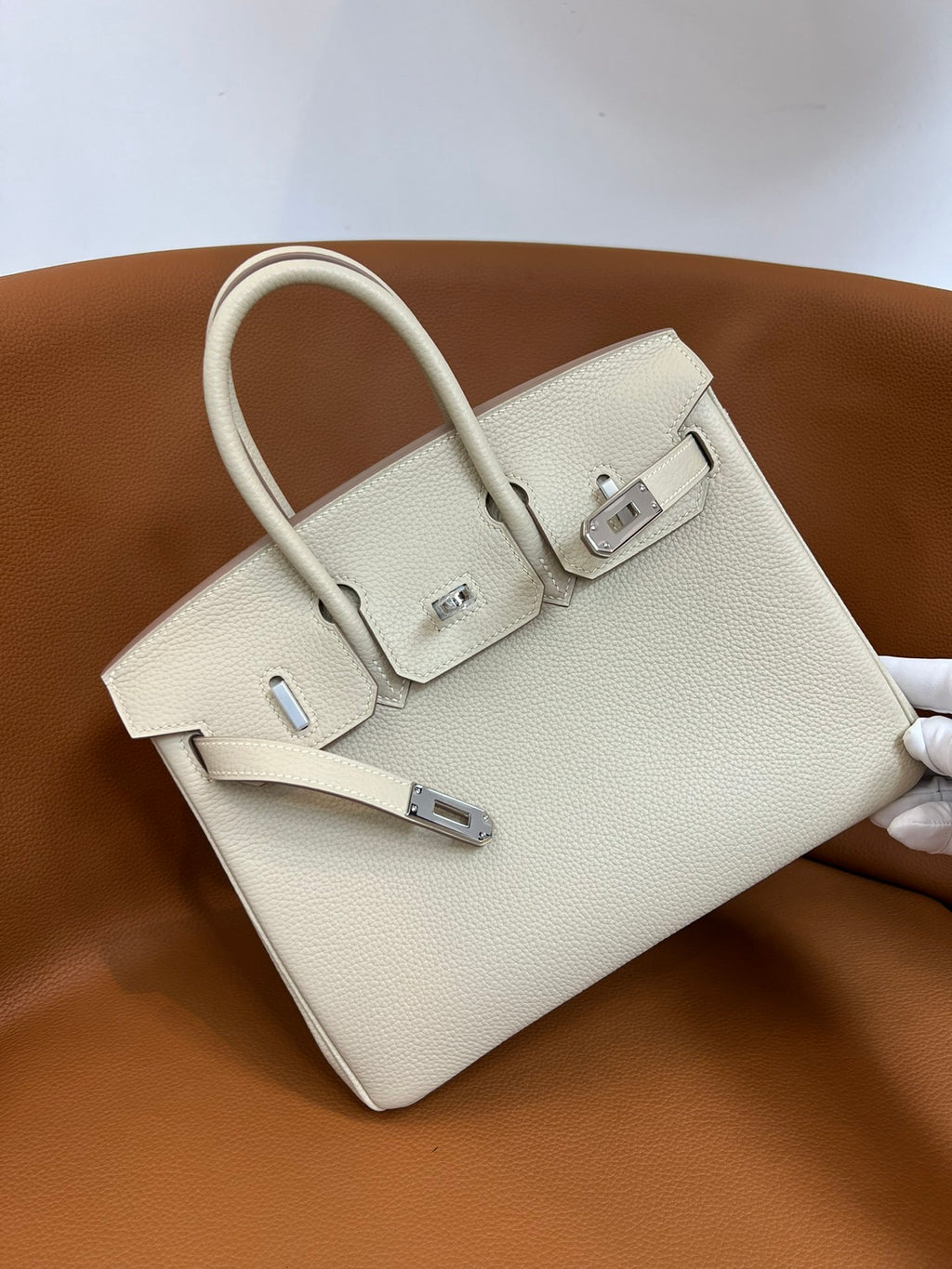 Hermès Birkin 25