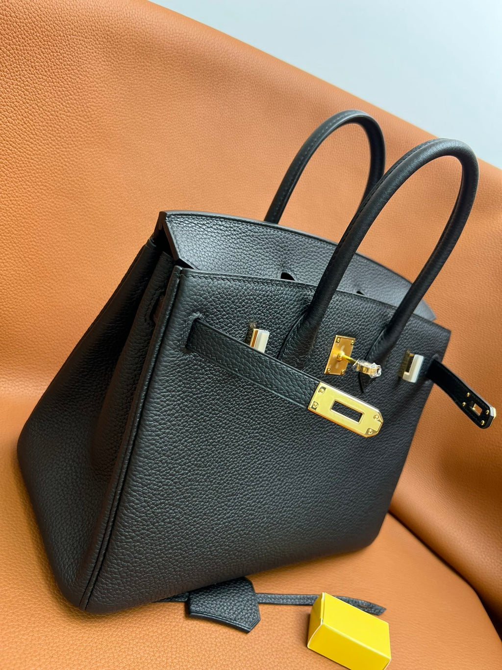 Hermès Birkin 25