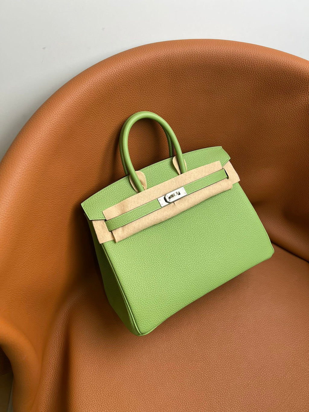 Hermès Birkin 25