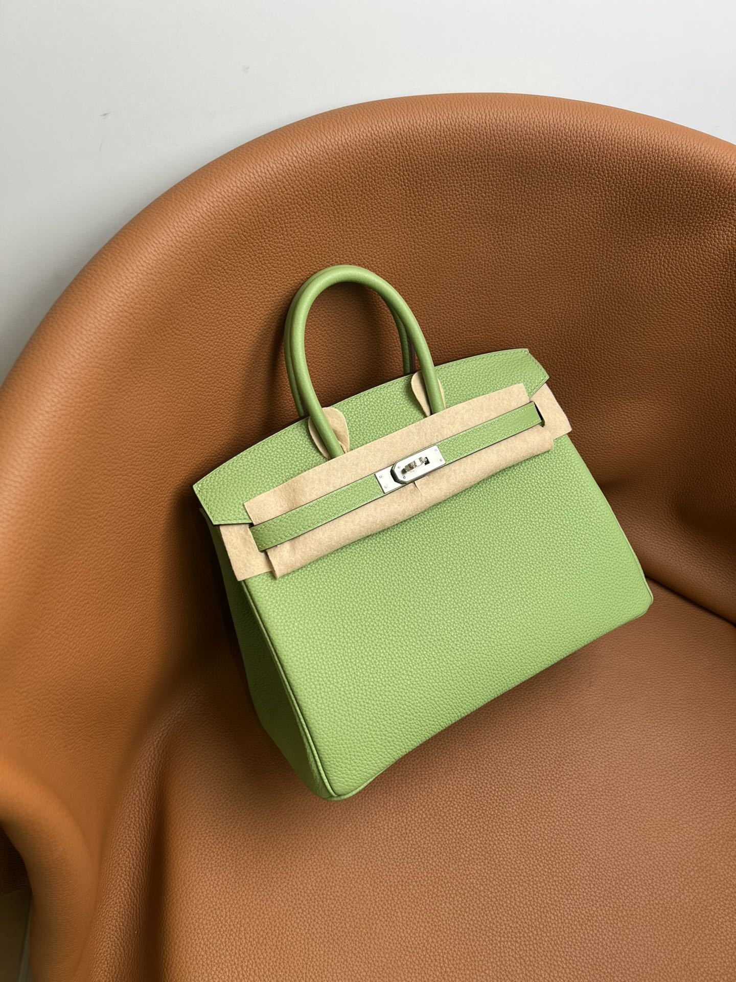 Hermès Birkin 25