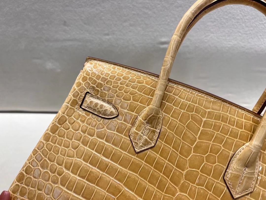 Hermès Birkin 25